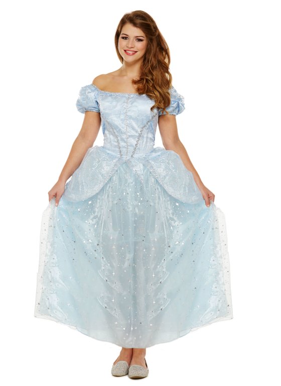 Lost Shoe Princess (One Size) Adult Fancy Dress Costume