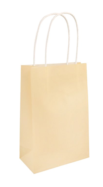 Ivory Paper Party Bag with Handles
