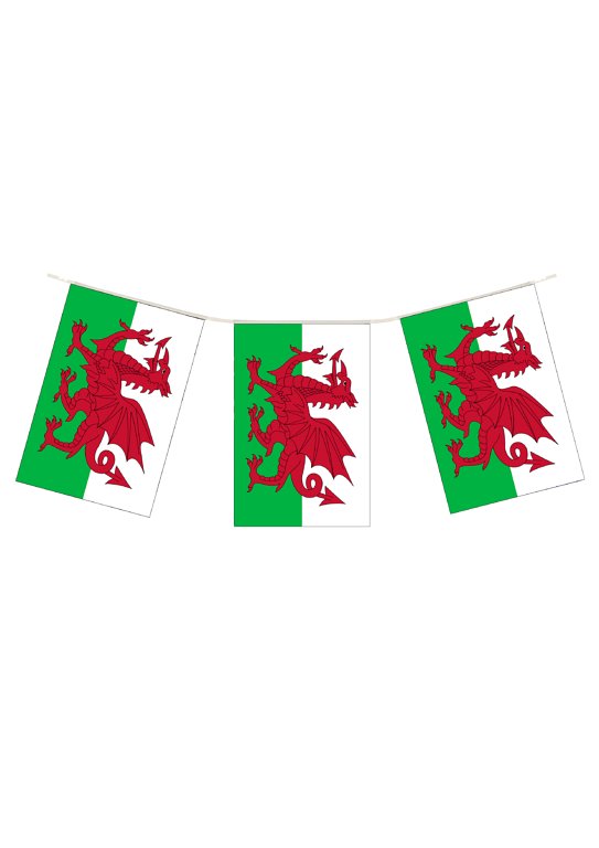 Wales Flag Bunting 10m (20 Flags)