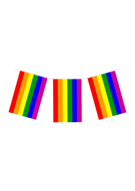 Gay Pride LGBTQ+ Rainbow Flag Bunting 7m (24 Flags)