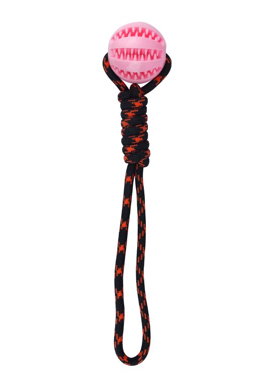 Doggy Ball on Rope (38cm) Dog Toys and Accessories